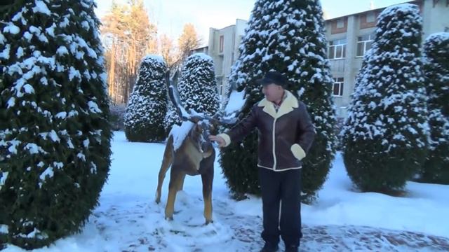 Санаторий Мокша. Приезжайте Здесь Классно Отдыхать смотреть онлайн