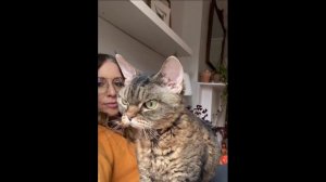Когда встал не с той ноги
