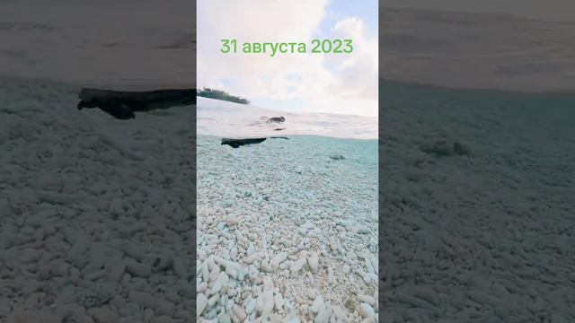 31 августа 2023 последний день лета