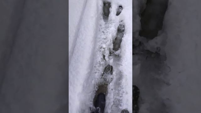 #Провалился на Мотособаке#подпишись смотреть онлайн