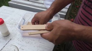 Маврик . Пробуем приготовить новые полоски от клеща 8.09.2019