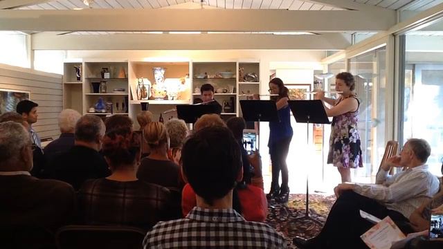 Devienne Flute Trio IV смотреть онлайн