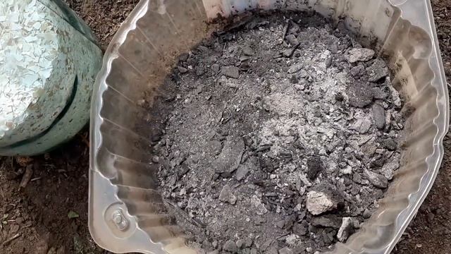Первая очень важная подкормка Помидор! Вмиг пойдут в рост и станут крепкими все помидоры.