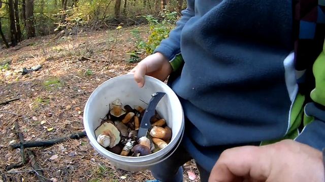Выбрались в лес по грибы. Готовим на финской свече. смотреть онлайн