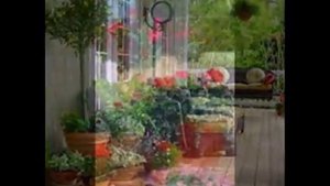 Как красиво украсить террасу цветами