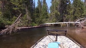 река Умбелла. Мотор- болотоход 15 л/с