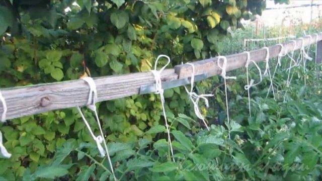 По итогам двух сезонов из архива 2016г смотреть онлайн