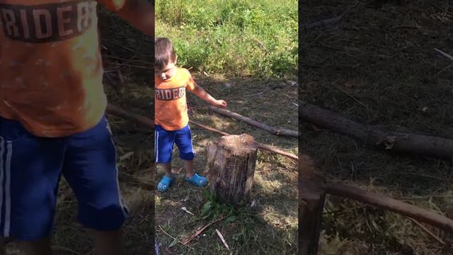 Мирон пилит ветки 😎😁