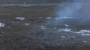 🔥ВЗРЫВАЕМ ПЕТАРДЫ САМОДЕЛЬНЫЕ