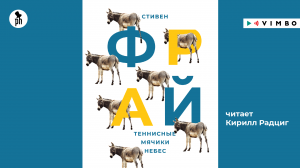 «ТЕННИСНЫЕ МЯЧИКИ НЕБЕС» СТИВЕН ФРАЙ | #аудиокнига фрагмент