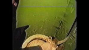 Зеленый слоник-альтернативная концовка