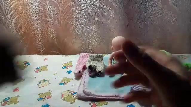 Что нужно мини реборну / в первые дни жизни ??????? смотреть онлайн