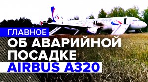 Приземлился на пшеничное поле: что известно об экстренной посадке самолёта «Уральских авиалиний»