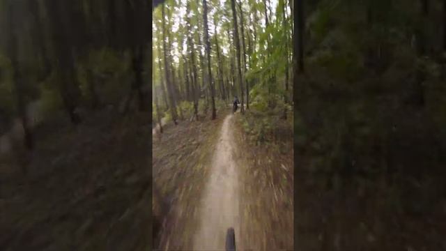 Колеса, Руль, Седло, Педали смотреть онлайн