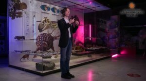 Знакомьтесь, динозавры!