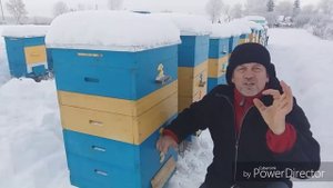 Зимовка пчёл | Как достичь хорошей зимовки пчёл на улице. | Wintering bees.