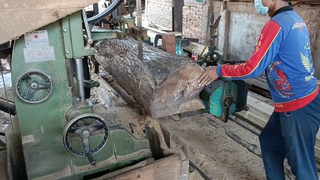 The process of turning large acacia logs into thick boards смотреть онлайн