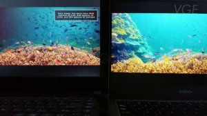 Screen laptop Full HD sRGB 100% IPS vs HD TN NTSC 45% Gamut Layar LCD LED Acer vs Infinix Book X1