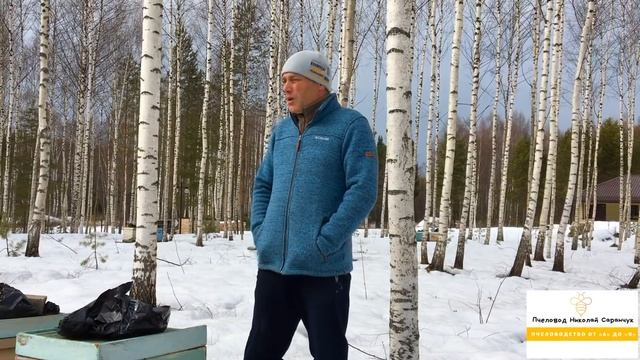 КАКАЯ ПОРОДА ПЧЁЛ ЛУЧШЕ В ЗИМОВКЕ?//ИТОГИ ЗИМОВКИ ПЧЁЛ смотреть онлайн