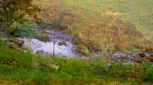 живая природа  Артуч  Таджикистан