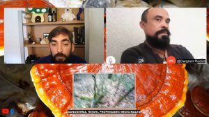 Cultivo y propiedades medicinales del REISHI (con @Dargüen Redish)