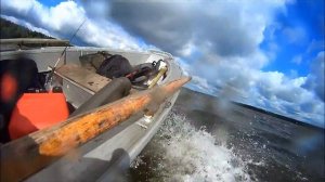 Вельбот 36 с Марлином 9.9