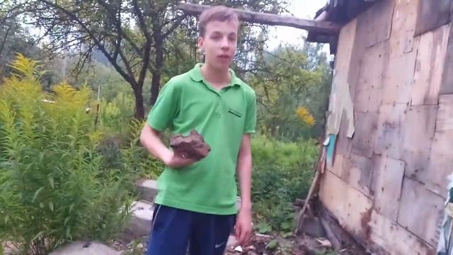 Заброшенный дом81 Мшинская Садоводство Нева