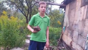 Заброшенный дом81 Мшинская Садоводство Нева