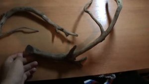 Коряги (как отпаривать и зачищать).