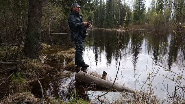 Рыбалка на ручье.Ловля Хариуса на поплавок.