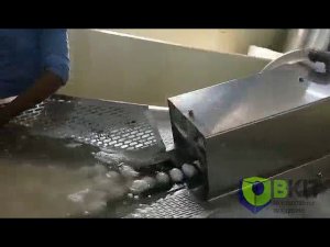 Линия переработки яйца мойка+чистка+дезинфекция+яйцебойка