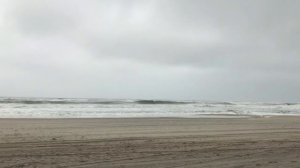 Лена Хеппи на берегу. Селим провинился. Мама Селима в гневе. Три мушкетёра. Lena Happy