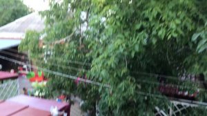 Обзор гостевого дома на « Ростовской 50"