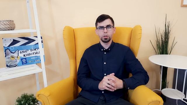 Отпуск с питомцем. Вопросы ветеринару смотреть онлайн