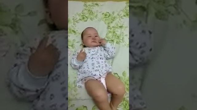 буудай кууру таруу куруу смотреть онлайн