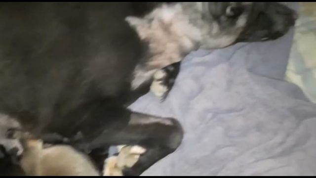 Матильда вся история смотреть онлайн