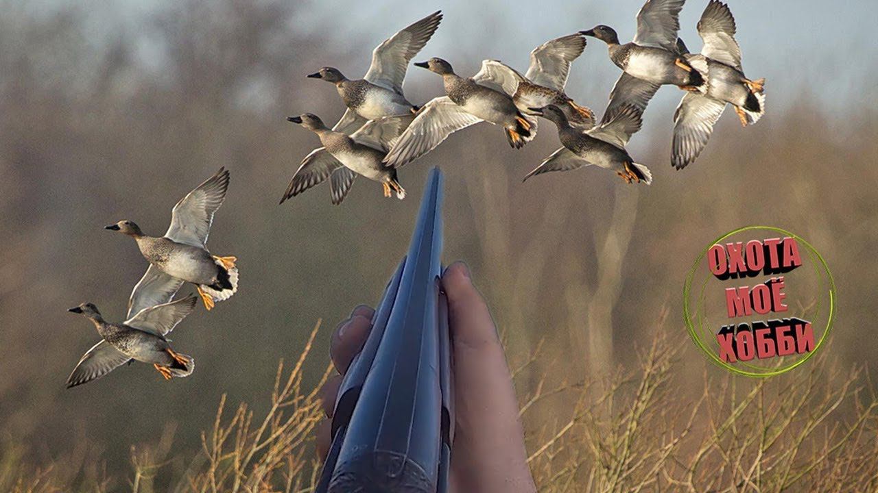 ХОРОШАЯ СТРЕЛЬБА ТОЗ/34 "ОХОТА НА УТОК" shooting ducks смотреть онлайн