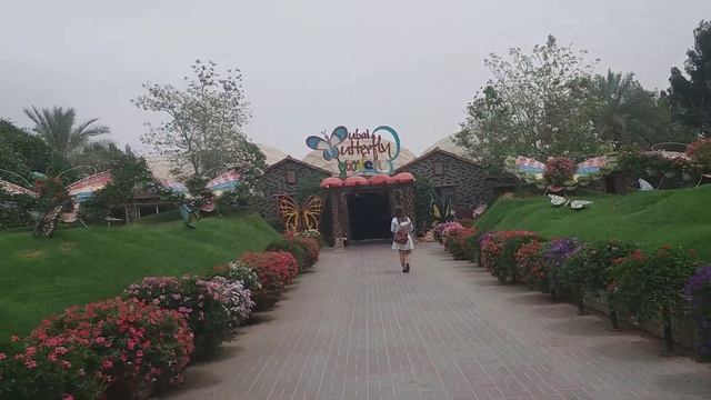 Дубай. Парк бабочек (1). смотреть онлайн