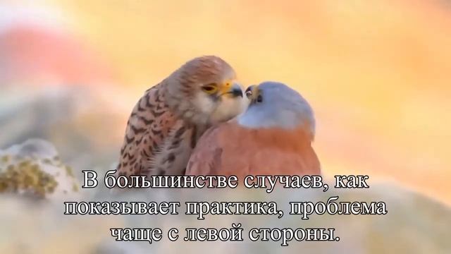 Почему хрустит челюсть  — Статья смотреть онлайн