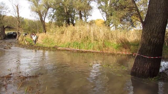 Осенний лес смотреть онлайн