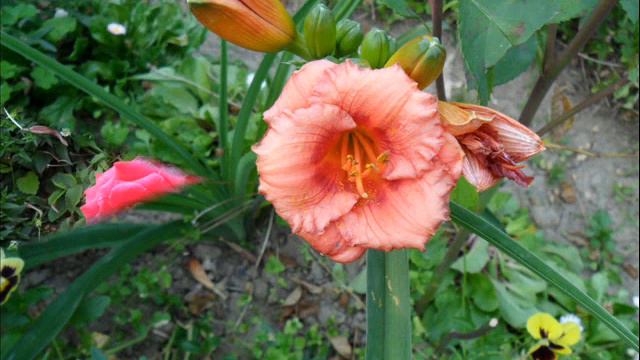 Для тебя мой виртуальный друг смотреть онлайн