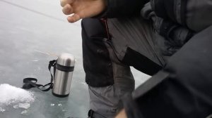 Веселовское водахранилеще зима