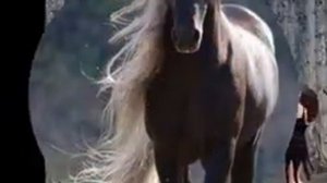 Лошадки под музыку 💜🐴