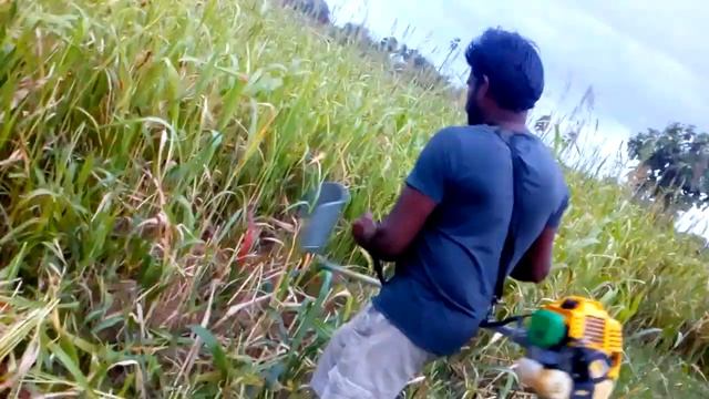 ?⚒? When I used BRUSH CUTTER for the first time ?⛏ | Thillai De Explorer смотреть онлайн