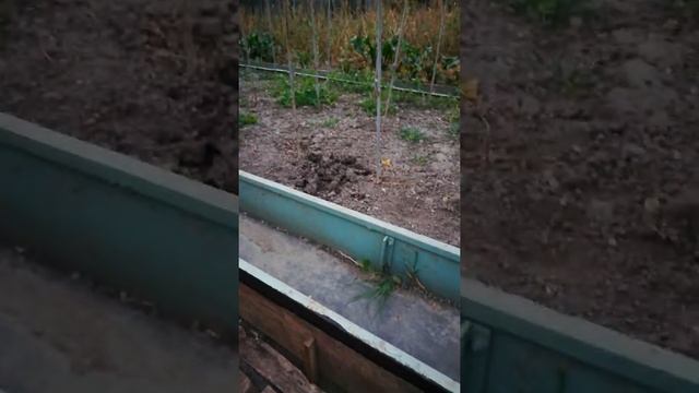 Тёплые грядки. смотреть онлайн