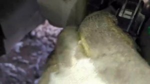 Замена насоса омывателя лобового стекал KIA CEED