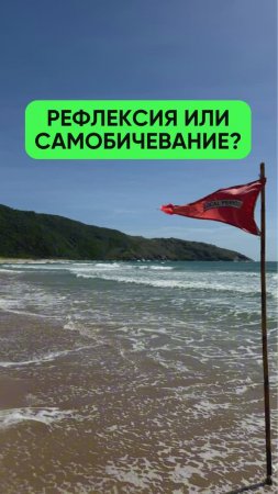 Рефлексия или Самобичевание?