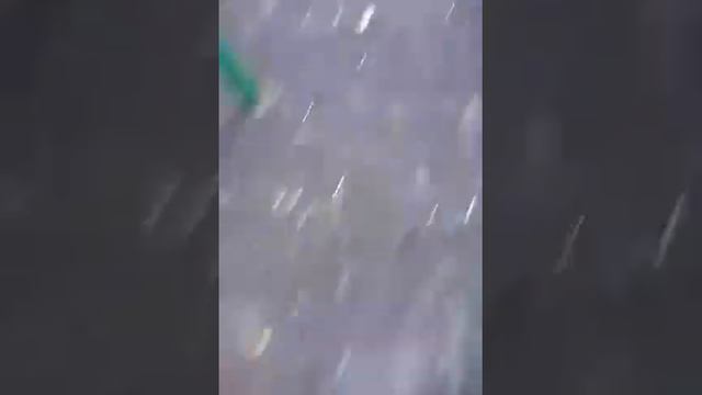 Парни с сума сходят! Они играют в Undertale!!! смотреть онлайн