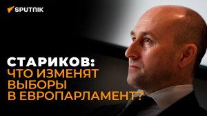 Банка с пауками: Николай Стариков подвёл итоги выборов в Европарламент