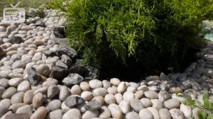 Ландшафтный дизайн своими руками ?  садовый декор и озеленение   мастер-класс Хитсад